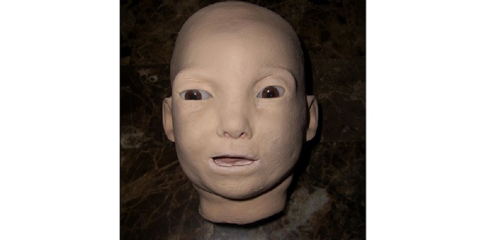 Radio Controlled Animatronic Premature Baby Head